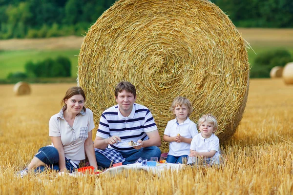 Mother, father and two little sons picnicking together — 스톡 사진