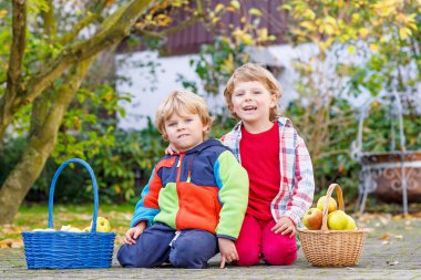 Two adorable little twin kids picking apples