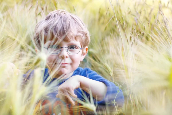 Menino pré-escolar adorável com óculos no campo de trigo — Fotografia de Stock