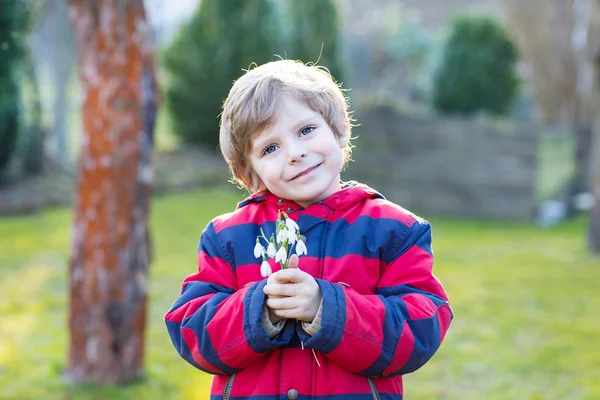 Liten unge pojke i röd jacka håller snowdrop blommor — Stockfoto