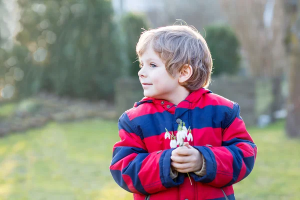 Liten unge pojke i röd jacka håller snowdrop blommor — Stockfoto