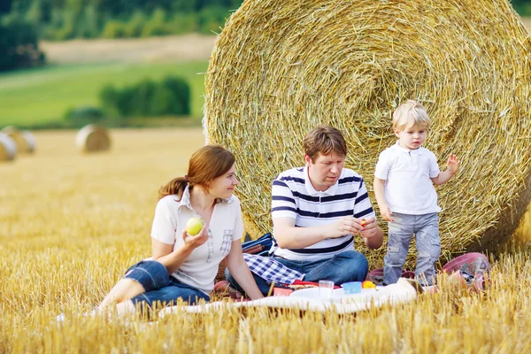 Mother, father and little son, kid boy having picnic — Stok fotoğraf