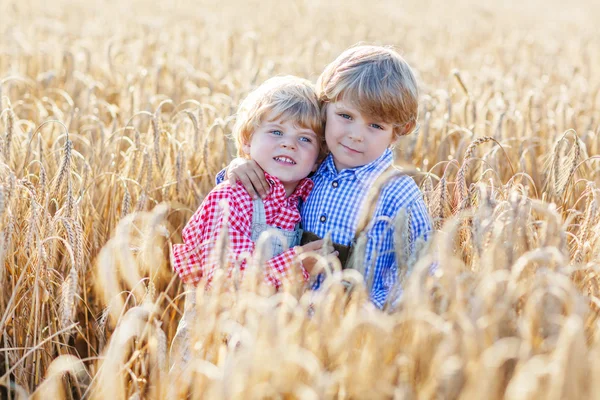 Eğlenmek ve konuşan iki küçük kardeş erkek buğday sarı — Stok fotoğraf