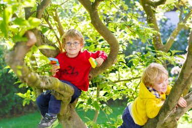 İki etkin küçük çocuk çocuklar ağaca tırmanma zevk