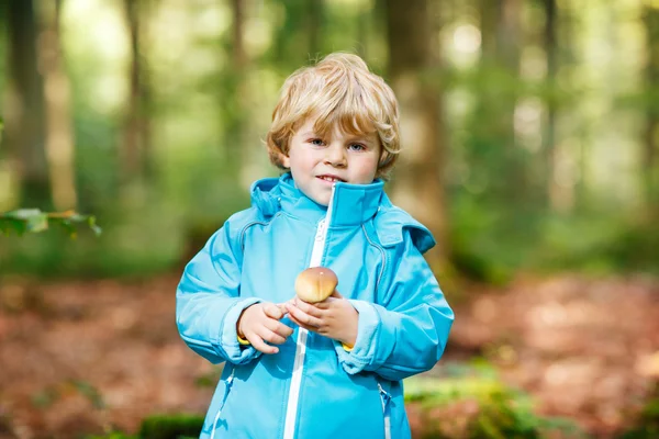 Menino pequeno na capa impermeável azul na floresta de outono — Fotografia de Stock