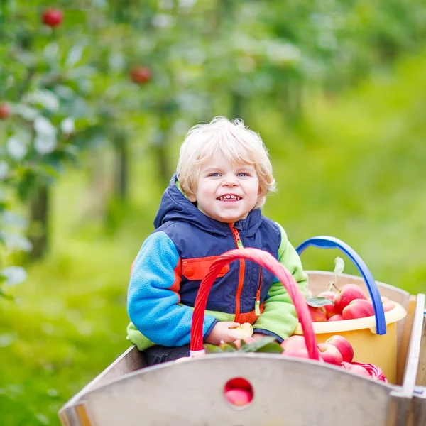 Menino criança sentado no carrinho de madeira com maçãs vermelhas — Fotografia de Stock