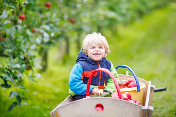 Menino criança sentado no carrinho de madeira com maçãs vermelhas — Fotografia de Stock