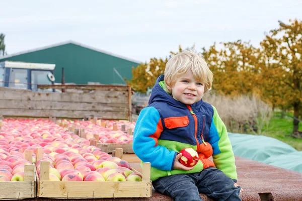 Divertido niño sentado en tractor con manzanas rojas —  Fotos de Stock