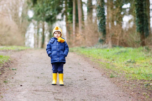 Cute little kid boy walking through autumn forest — Stock Photo, Image