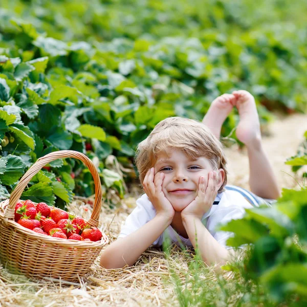 Kleiner Junge pflückt Erdbeeren auf Bauernhof, im Freien. — Stockfoto