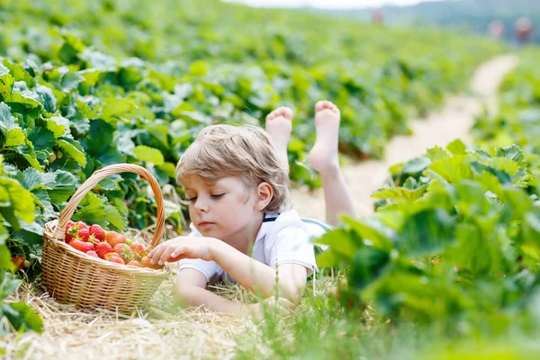 Liten unge pojke plocka jordgubbar på gården, utomhus. — Stockfoto