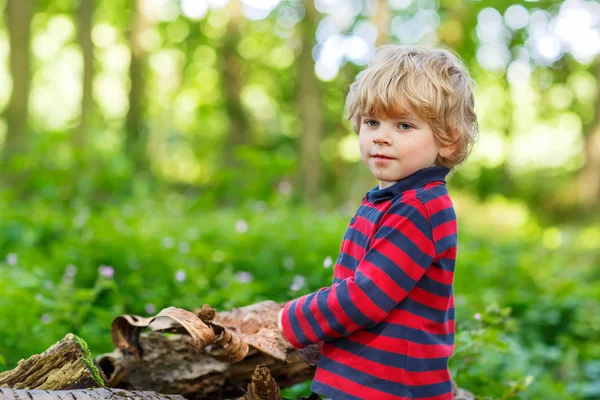 Lilla söta blonda unge pojken ha kul i sommar skog. — Stockfoto