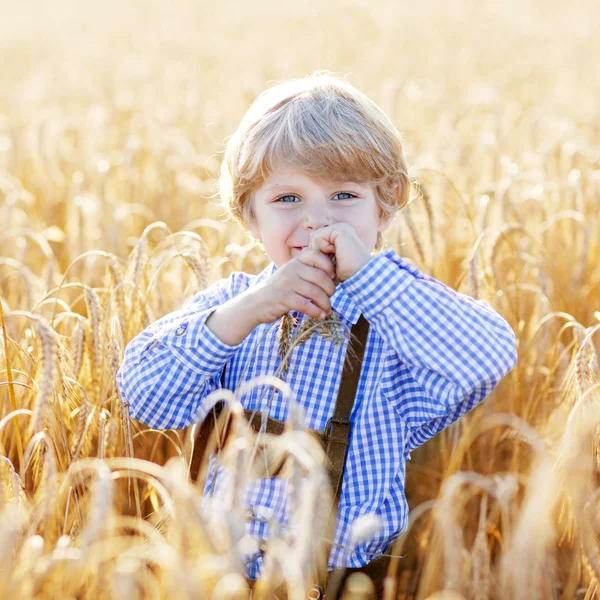 Funny little kid boy in leather shors, walking  through wheat fi — Stock Photo, Image