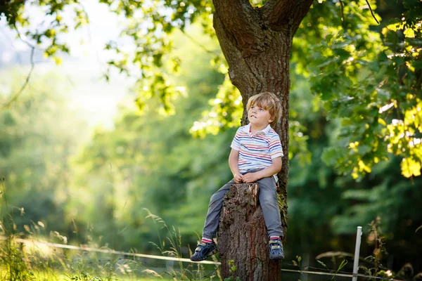 Lindo niño disfrutando trepar en el árbol — Foto de Stock