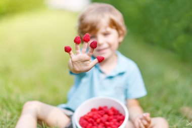 küçük sarışın çocuk mutlu onun hasat ahududu çiftlik hakkında