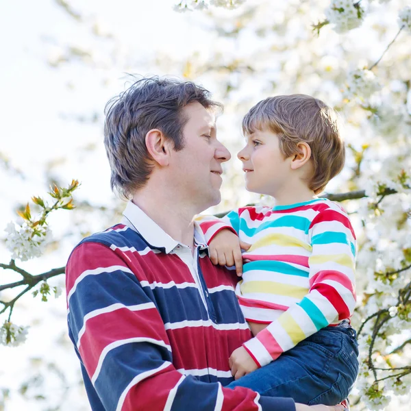 Young father and little kid boy in blooming garden — Stock Photo, Image