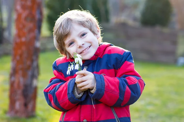 Liten unge pojke i röd jacka håller snowdrop blommor — Stockfoto