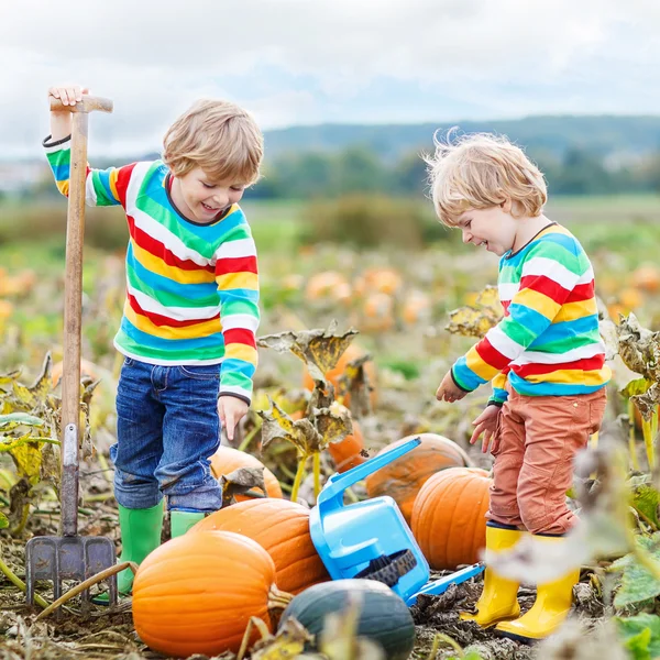 Two little kids boys sitting on big pumpkins on patch — Stock Photo, Image