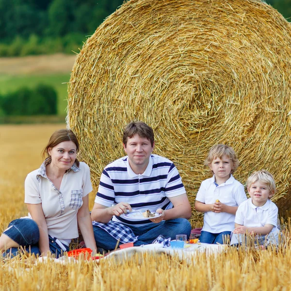 Mother, father and two little sons picnicking together — 图库照片