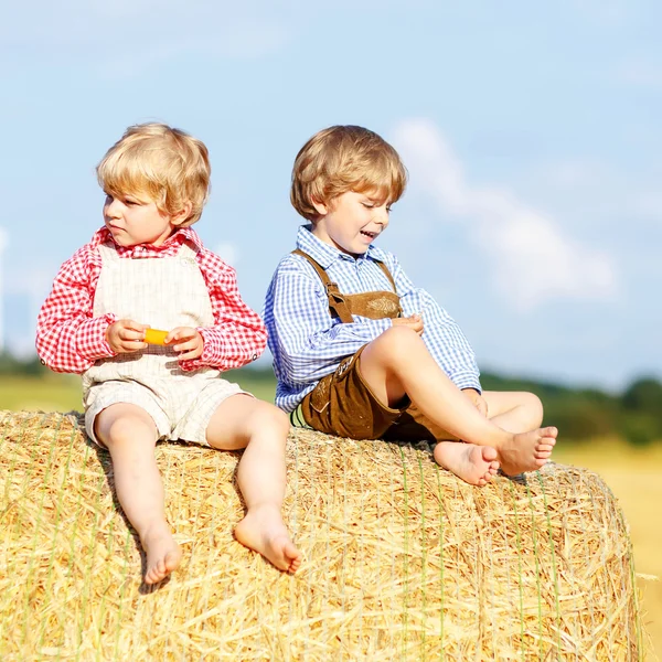 Two little friends and friends sitting on hay stack — Stock Photo, Image