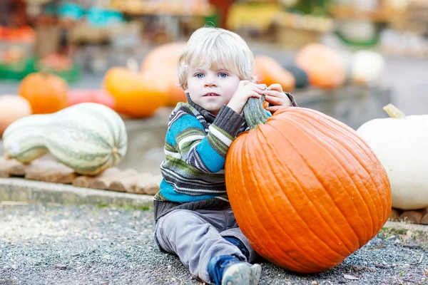 Petit enfant assis avec beaucoup de citrouilles à la ferme patch — Photo