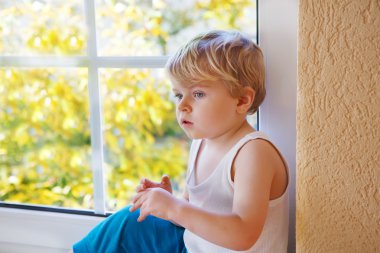Little kid boy looking out of the window on yellow autumn tree.