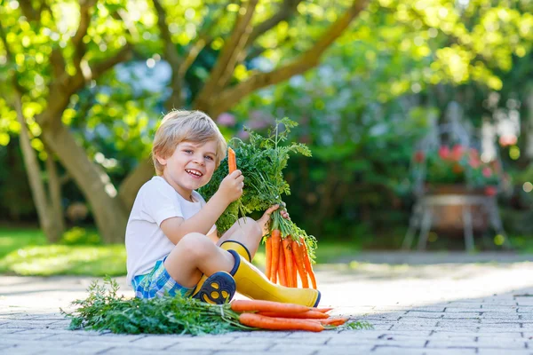 Söt liten unge pojke med morötter i inhemska trädgård — Stockfoto