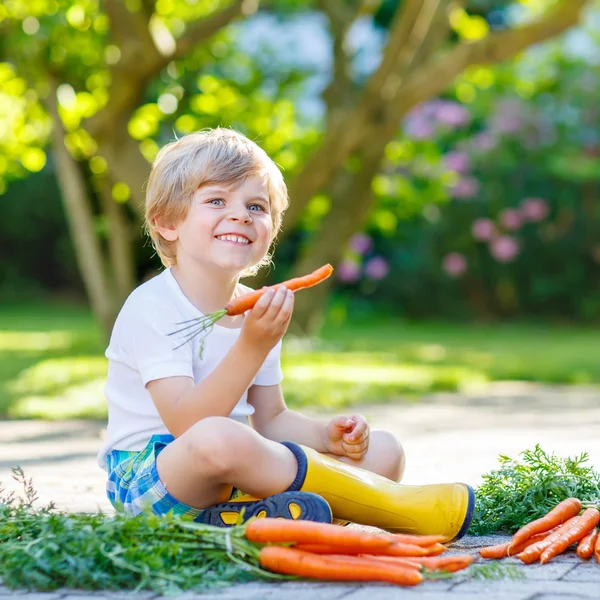 Adorable little child with carrots in domestic garden — Stock Photo, Image