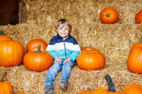 Little cute kid boy sitting with huge pumpkin — Stock Photo, Image