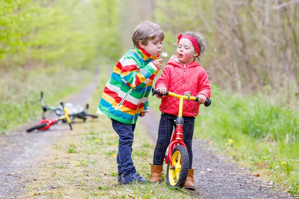 Mädchen und Junge spielen gemeinsam im Wald — Stockfoto