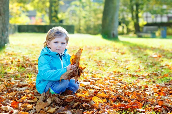 Little kid boy with yellow autumn leaves in park — Stock Photo, Image