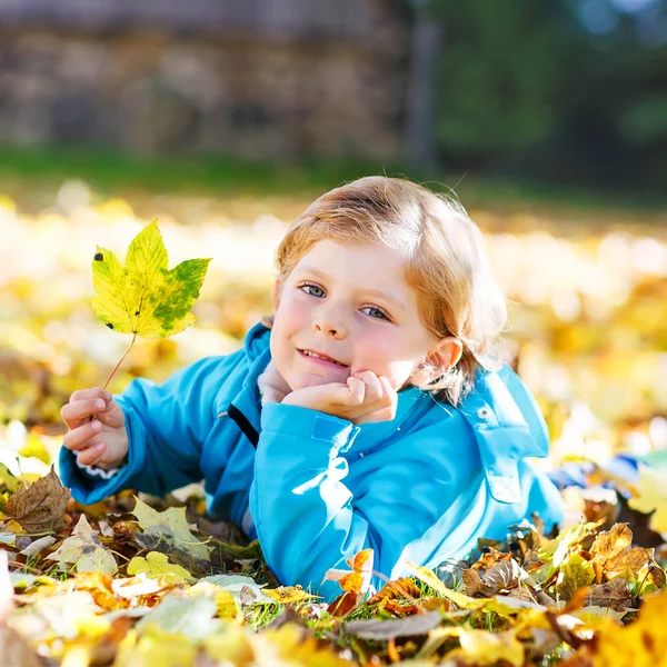 Liten unge pojke med gula hösten lämnar i park — Stockfoto