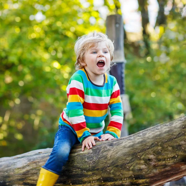 Little kid boy  having fun on autumn playground — Stock Photo, Image