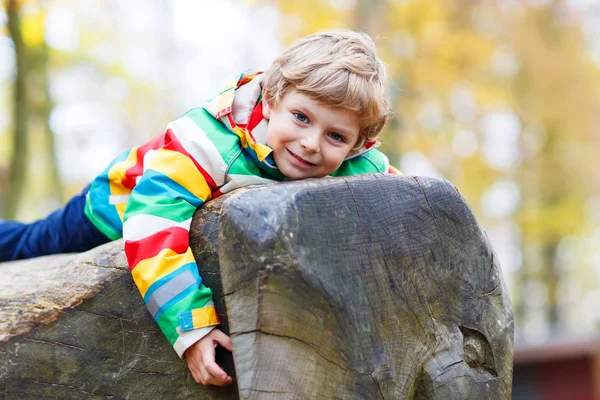 Kleiner Junge hat Spaß auf Herbstspielplatz — Stockfoto