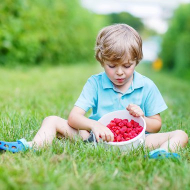 küçük sarışın çocuk mutlu onun hasat ahududu çiftlik hakkında