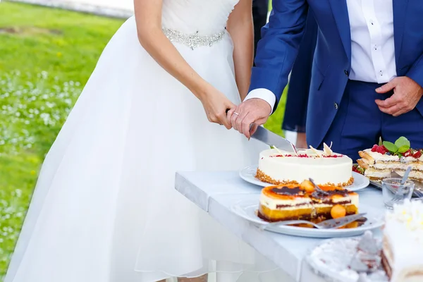 Braut und Bräutigam schneiden Hochzeitstorte — Stockfoto