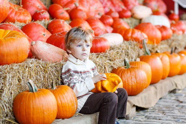 Pequeño niño sentado con un montón de calabazas en la granja de parches — Foto de Stock