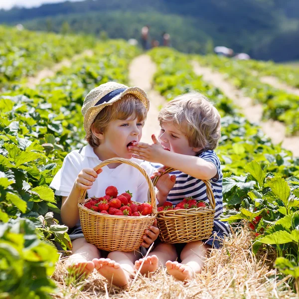 Deux petits frères et sœurs sur une ferme de fraises en été — Photo