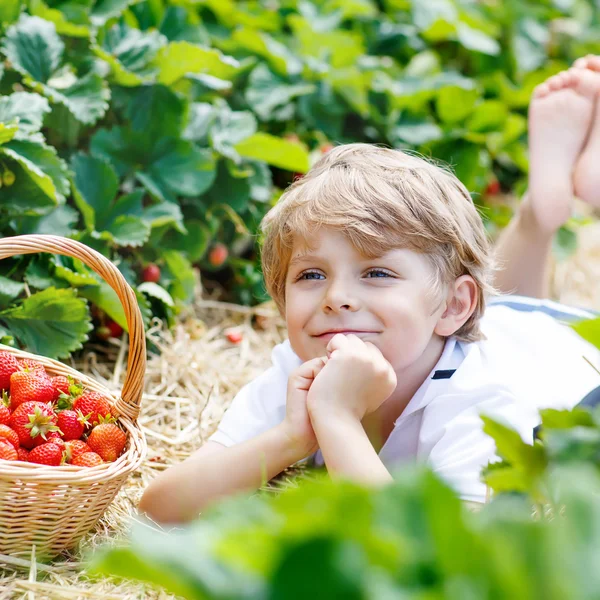 Liten unge pojke plocka jordgubbar på gården, utomhus. — Stockfoto