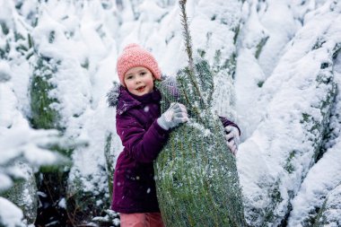 Noel ağacı pazarından alışveriş yapan tatlı, gülümseyen küçük kız. Kışın giysili mutlu bir çocuk, karlı kış pazar gününde Noel ağacını tutuyor ve seçiyor..