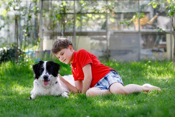 Aktif çocuk bahçede aile köpeğiyle oynuyor. Gülen okul çocuğu antrenman köpeğiyle eğleniyor, koşuyor ve topla oynuyor. Dışarıda mutlu bir aile. Hayvanlar ve çocuklar arasındaki arkadaşlık..