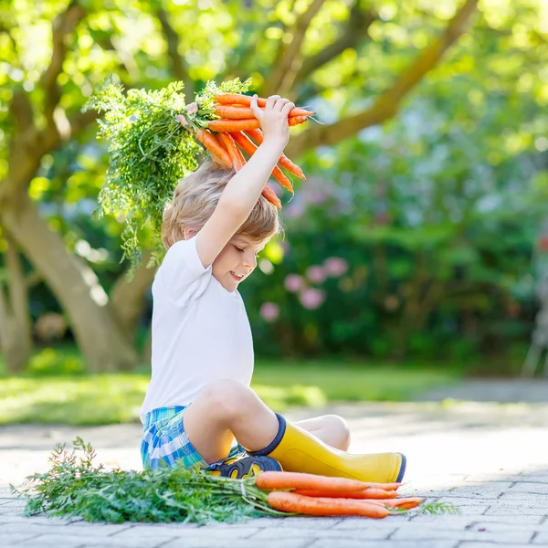 Criança adorável com cenouras no jardim doméstico — Fotografia de Stock