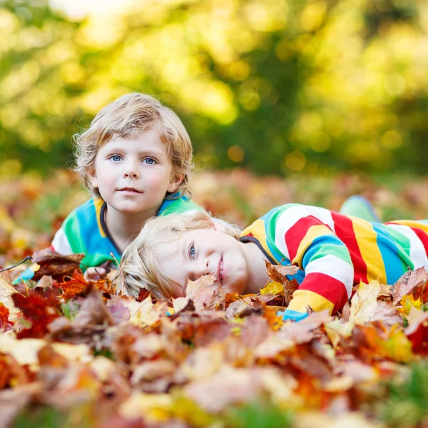 Δύο λίγο παιδί αγόρια που βάζοντας στο φθινόπωρο τα φύλλα σε πολύχρωμα ρούχα — Φωτογραφία Αρχείου