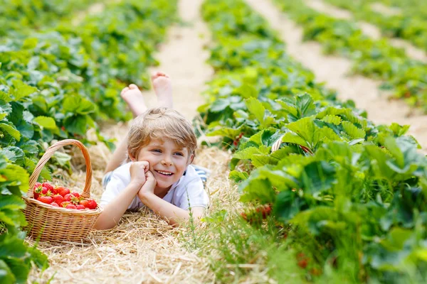 Liten unge pojke plocka jordgubbar på gården, utomhus. — Stockfoto