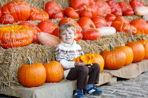 Petit enfant assis avec beaucoup de citrouilles à la ferme patch — Photo