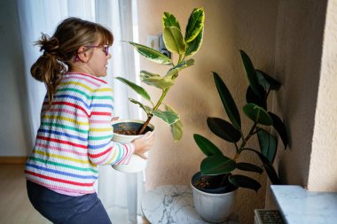 Küçük kız ev bitkilerini suluyor. Çocuk yeşil çiçeklerle eğleniyor