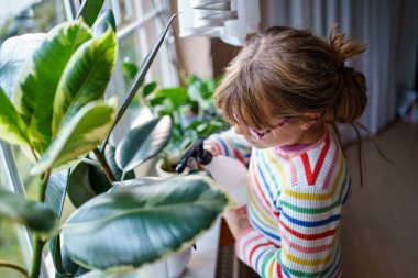 Küçük kız ev bitkilerini suluyor. Çocuk yeşil çiçeklerle eğleniyor