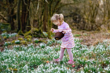 Pembe kulaklı küçük bir kız güneşli bir günde, açık havada yumurta avına çıkıyor. Bir sürü kartopu çiçeği ve renkli yumurtası olan sevimli, mutlu bir çocuk. İlkbahar, Hıristiyan bayramı konsepti