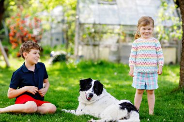 Okul çocuğu ve küçük kız bahçede aile köpeğiyle oynuyorlar. İki çocuk, sevimli kardeşler köpekle eğleniyorlar. Dışarıda mutlu bir aile. Evcil hayvan ve çocuklar arasındaki arkadaşlık ve aşk..