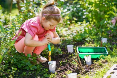Küçük mutlu anaokulu kızı aile bahçesine fidanlar ekiyor. Çocuk bahçeciliği, ekmeyi ve sebze yetiştirmeyi öğreniyor. Çocuklar ve ekoloji, çevre kavramı
